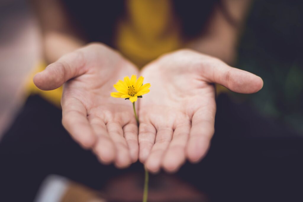 Dwie złączone wyciągnięte dłonie, a między nimi kwiat