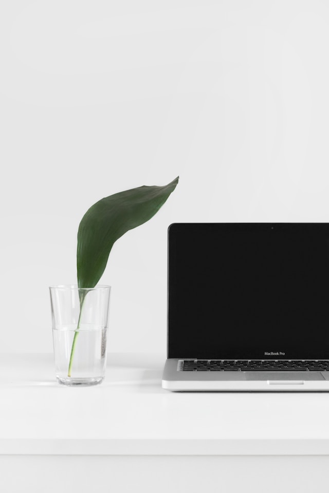 Biurko z laptopem MacBook i zielonym liściem w szklance